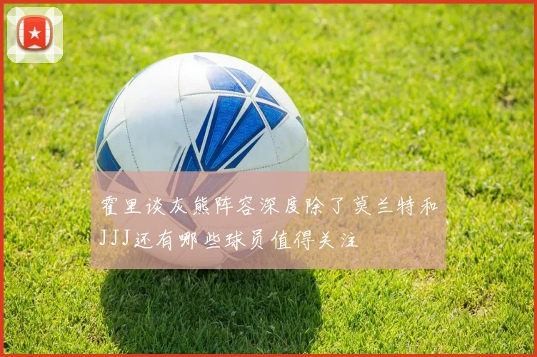 霍里谈灰熊阵容深度除了莫兰特和JJJ还有哪些球员值得关注