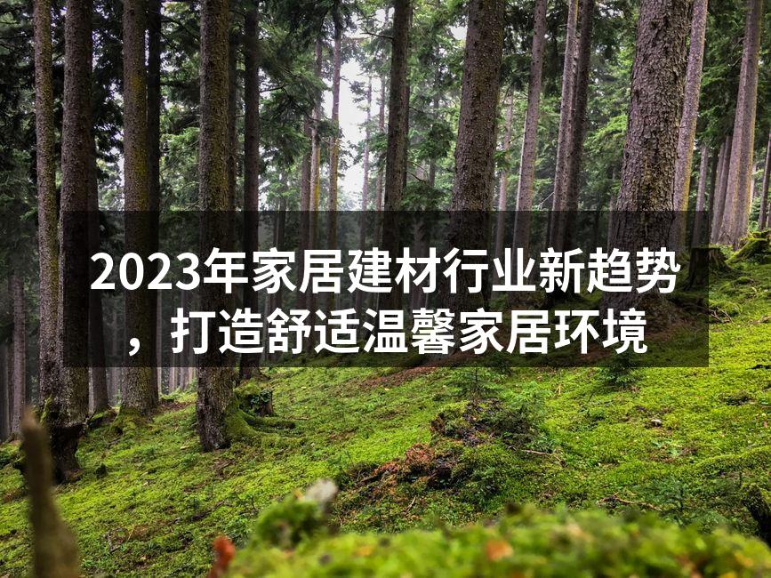 2023年家居建材行业新趋势，打造舒适温馨家居环境