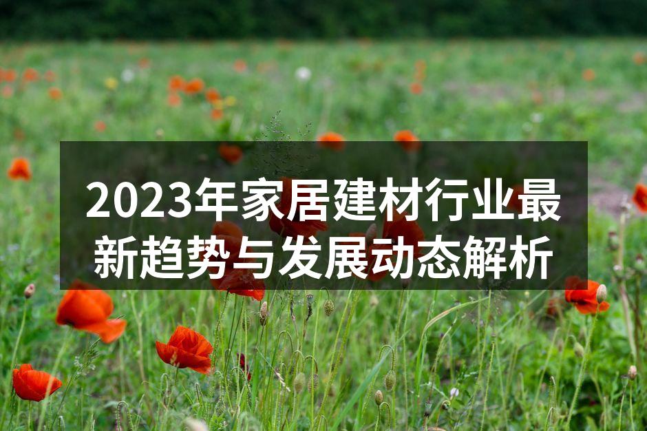 2023年家居建材行业最新趋势与发展动态解析