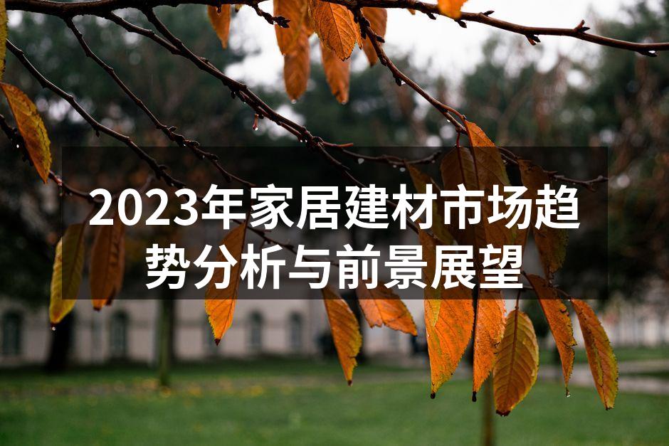2023年家居建材市场趋势分析与前景展望